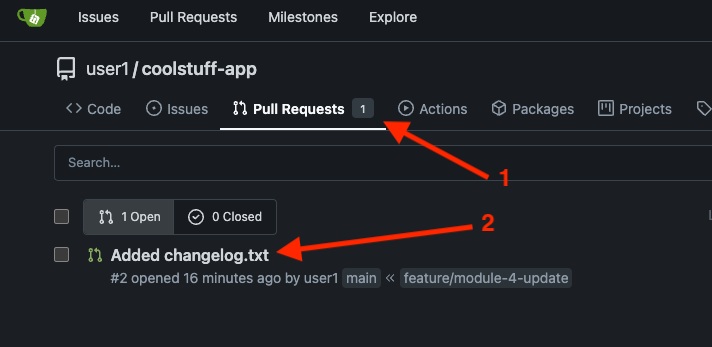 Gitea open pull request