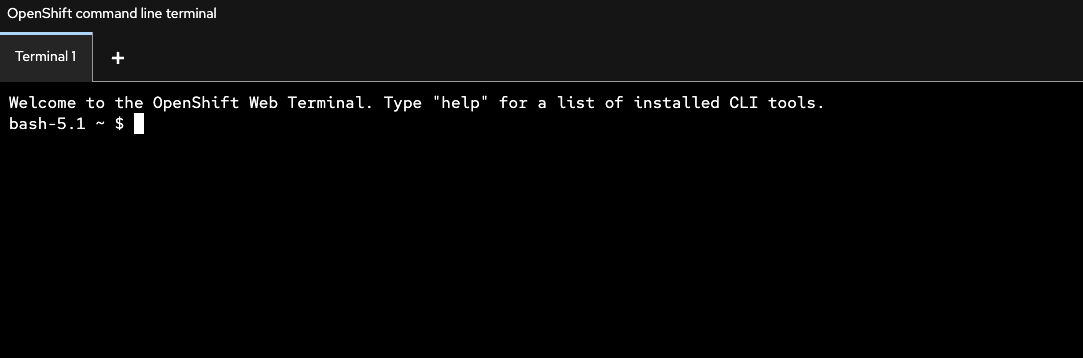 OpenShift Terminal running